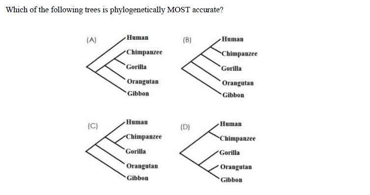online practice test - Ecology and Evolution