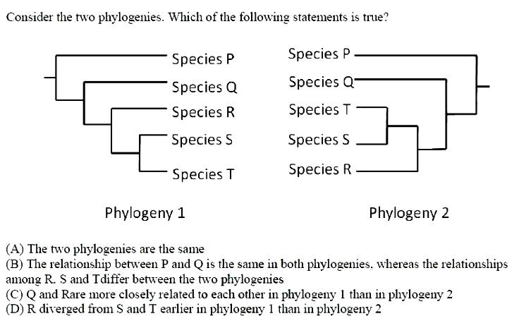 online practice test - Ecology and Evolution